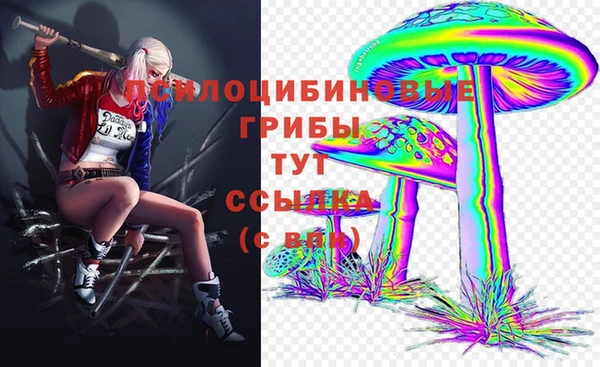 молекула духа Покровск
