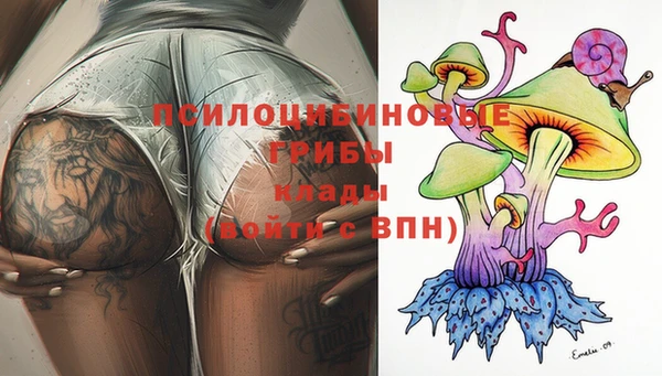 первитин Покачи