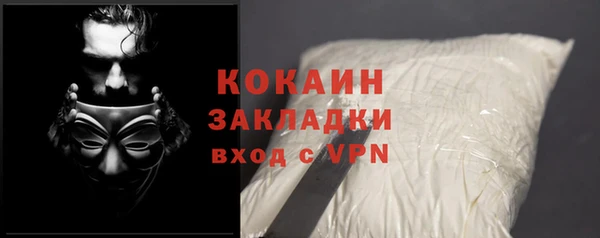 дурь Ельня